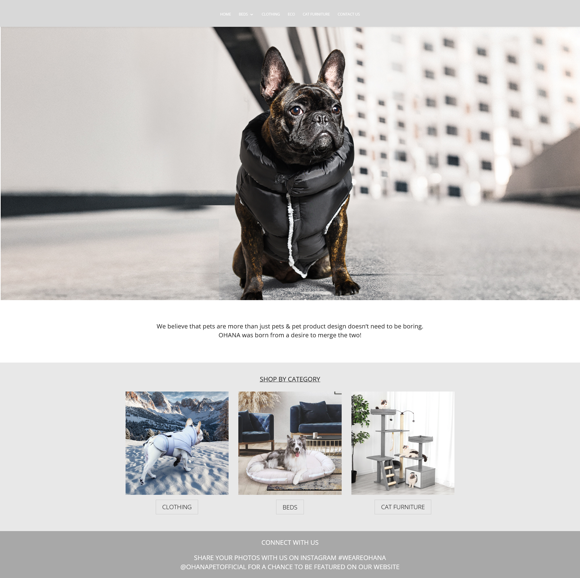 OHANA – Your Pet Brand