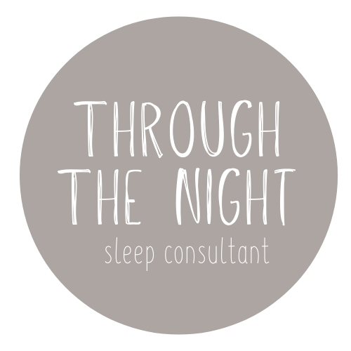 Through the night sleep consultant logo design
